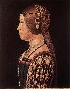 ARALDI, Alessandro Portrait of Barbara Pallavicino oil on canvas